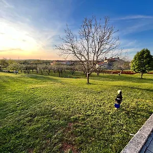 https://apartment-danica-valtura.pula-hotels.org